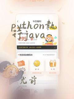 python执行java