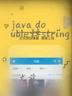 java double转string