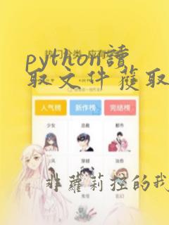 python读取文件获取行数