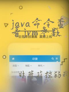 java命令查看jvm参数