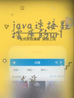 java连接数据库的url