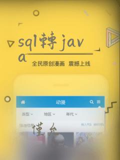 sql转java
