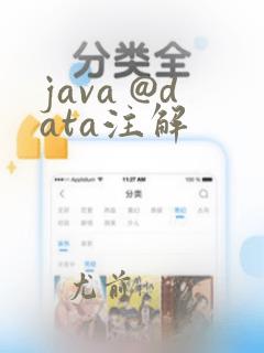 java @data注解