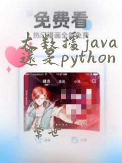 大数据java还是python