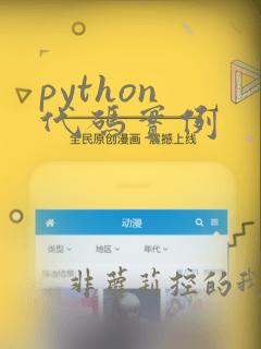 python 代码实例
