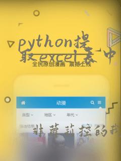 python提取excel表中指定行和列的数据