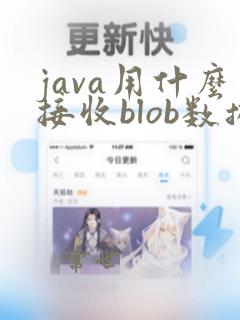 java用什么接收blob数据