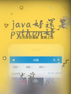 java好还是python好