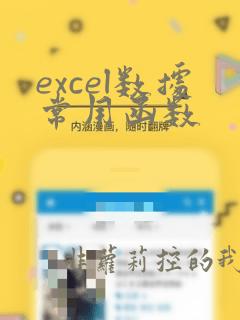 excel数据常用函数