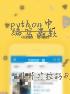 python中编写函数