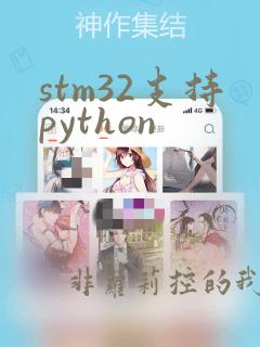 stm32支持python