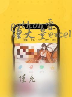 python处理大量excel数据