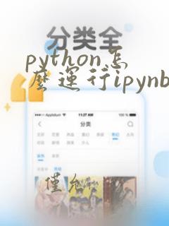 python怎么运行ipynb文件