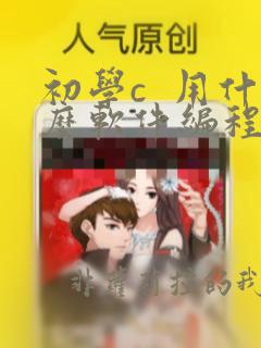 初学c  用什么软件编程