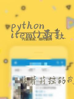python item()函数