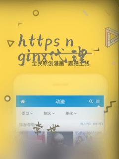 https nginx代理