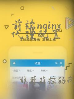 前端nginx代理配置