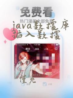 java数据库插入数据