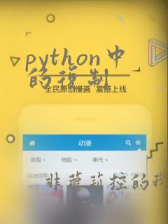 python中的复制