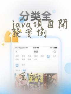 java项目开发实例