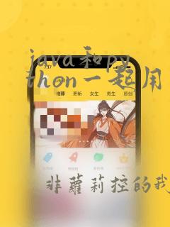 java和python一起用