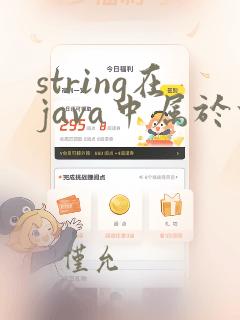 string在java中属于什么数据类型