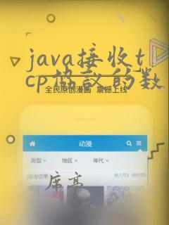 java接收tcp协议的数据
