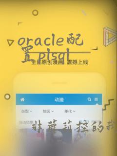 oracle配置plsql