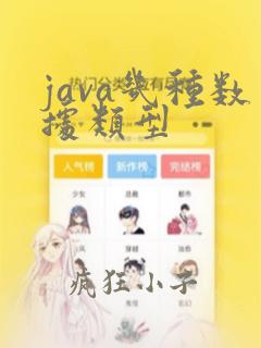 java几种数据类型