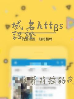 域名https认证