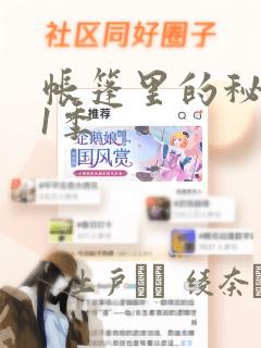 帐篷里的秘密第1季