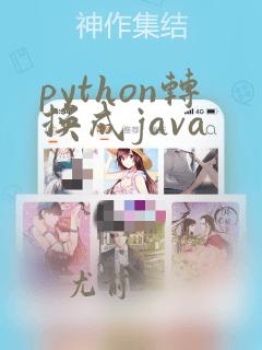 python转换成java