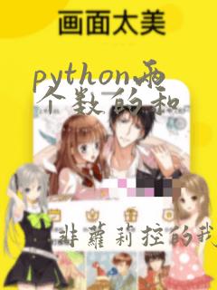 python两个数的和