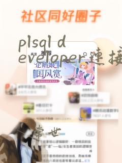 plsql developer连接远程oracle数据库