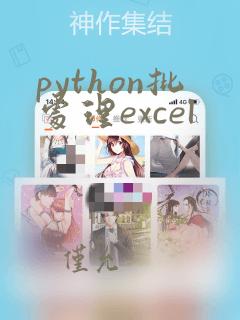 python批处理excel