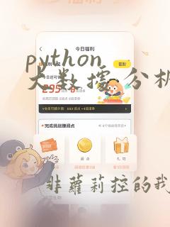 python 大数据 分析