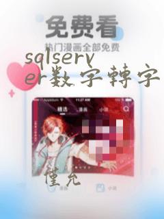 sqlserver数字转字符串函数