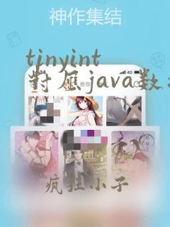 tinyint对应java数据类型