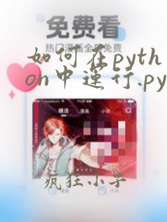 如何在python中运行.py文件