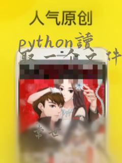 python读取一个文件并写入另一个文件