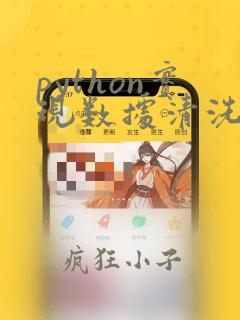 python实现数据清洗