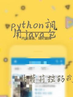 python调用java包