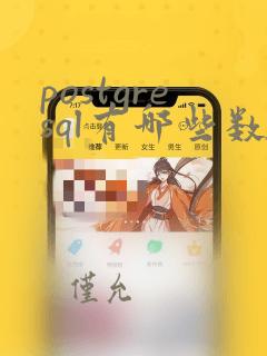 postgresql有哪些数据类型