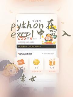 python在excel中写入数据
