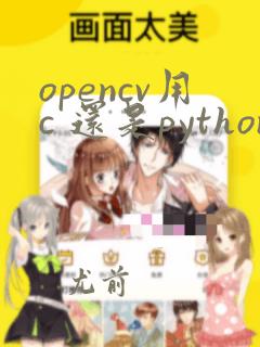 opencv用c 还是python好