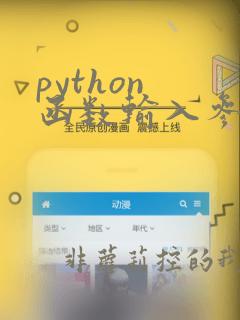 python 函数输入参数