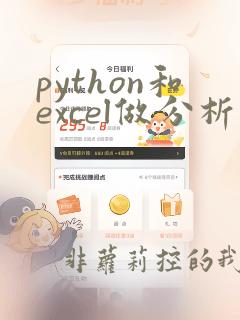 python和excel做分析的区别