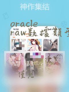 oracle raw数据类型