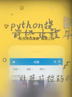 python提前终止程序