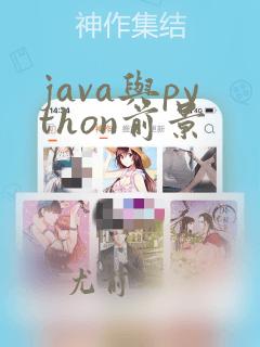 java与python前景